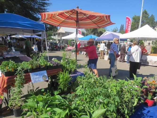 Amador County Farmers Market celebrates its 24th season with special