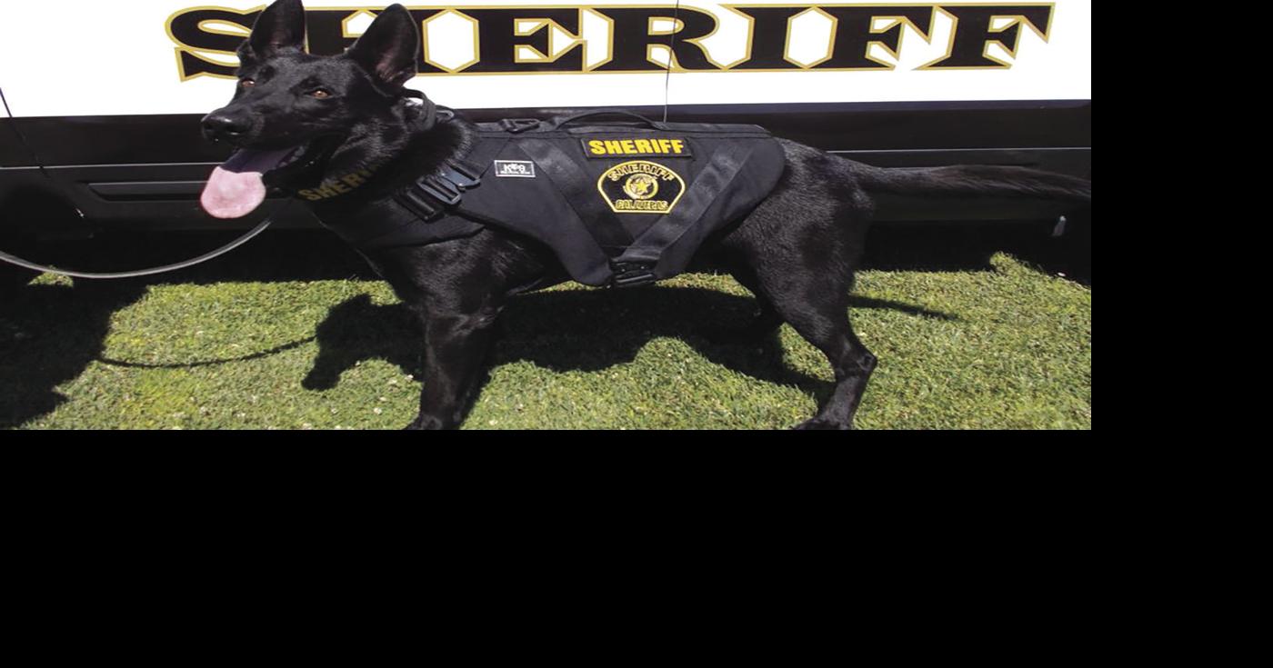 Calaveras Arrest Log—June 21 through June 27 News ledger.news