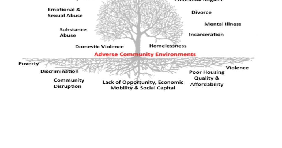 Pair of Aces Tree.png ledger.news