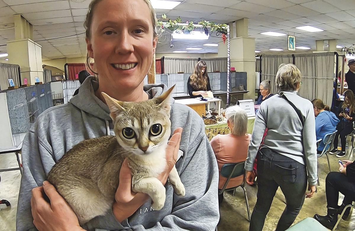 Wine Country Cat Club Brings In A Fun And Puuurfect Weekend On The Vine Ledger News