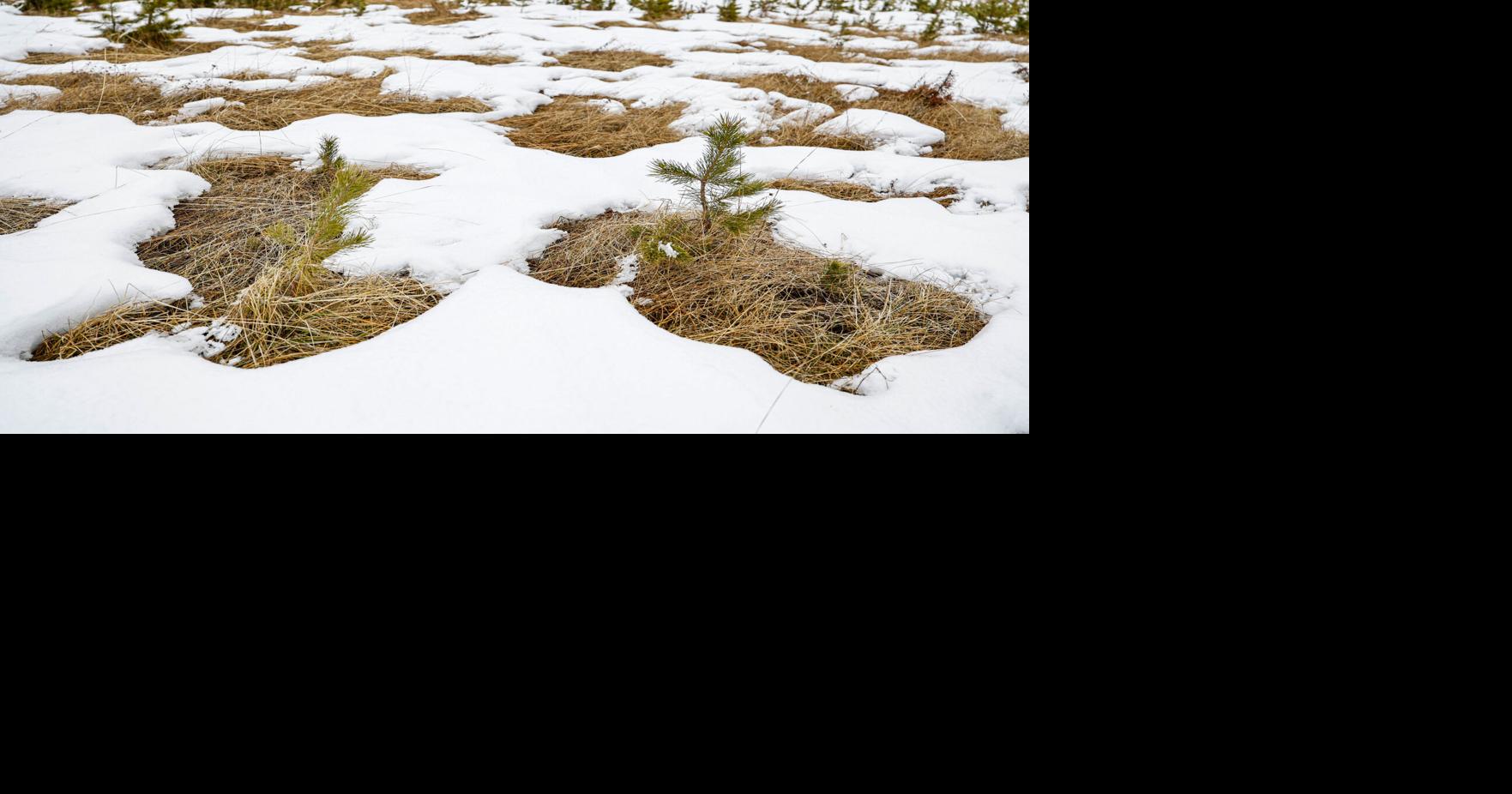 After one of largest snowpacks on record last season, latest water year ...