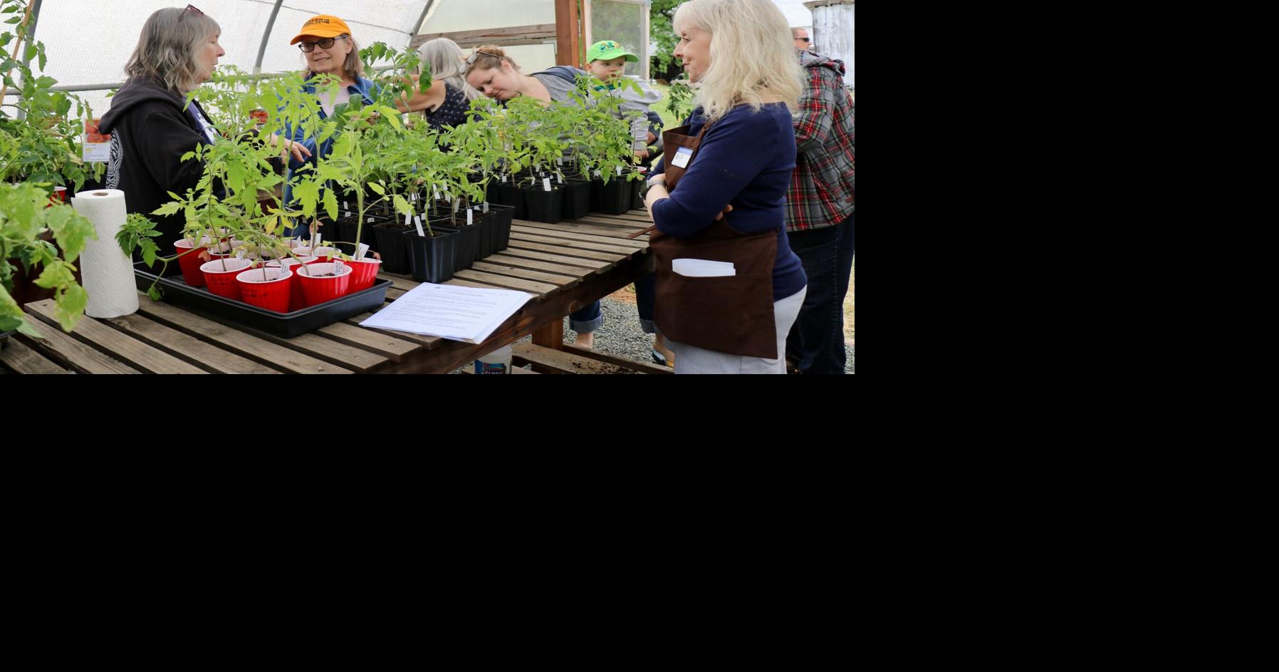 Healthy Soil, Healthy Plants — Master Gardener Plant Sale May 9!