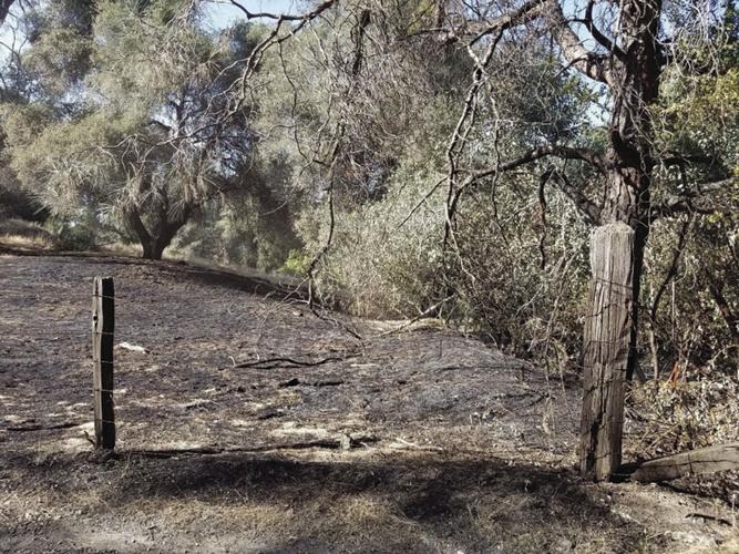 Quick-Thinking Citizens & CAL FIRE Crews Quickly Control Sutter Creek ...