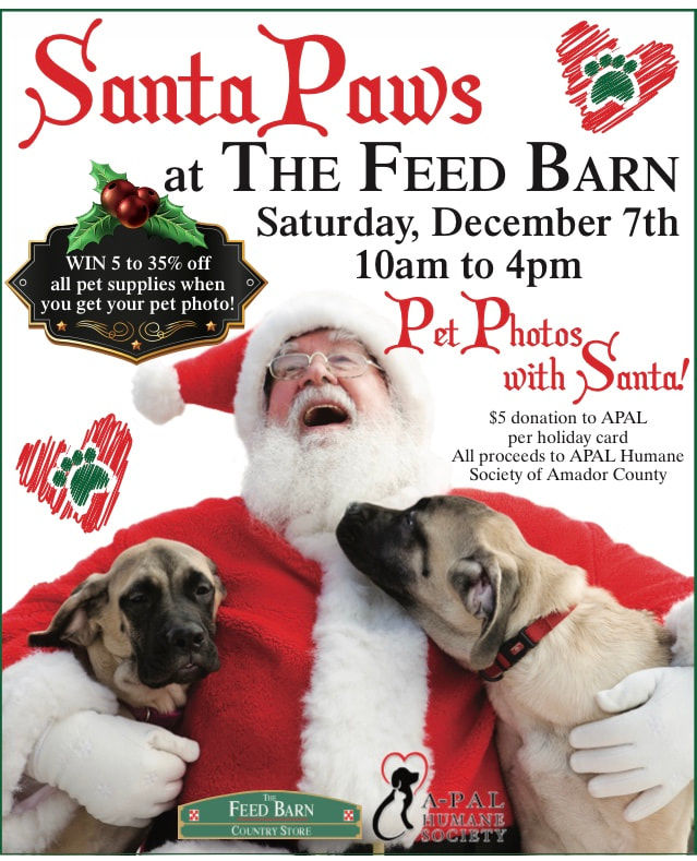 Santa Paws At The Feed Barn Calendar Ledger News