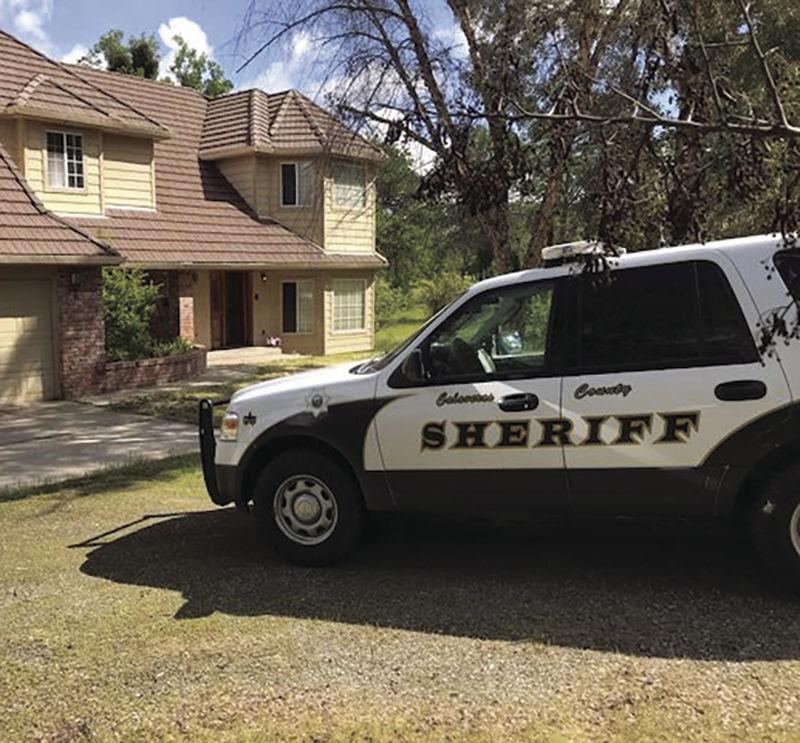Calaveras Arrest Log—July 5 through July 11 News ledger.news