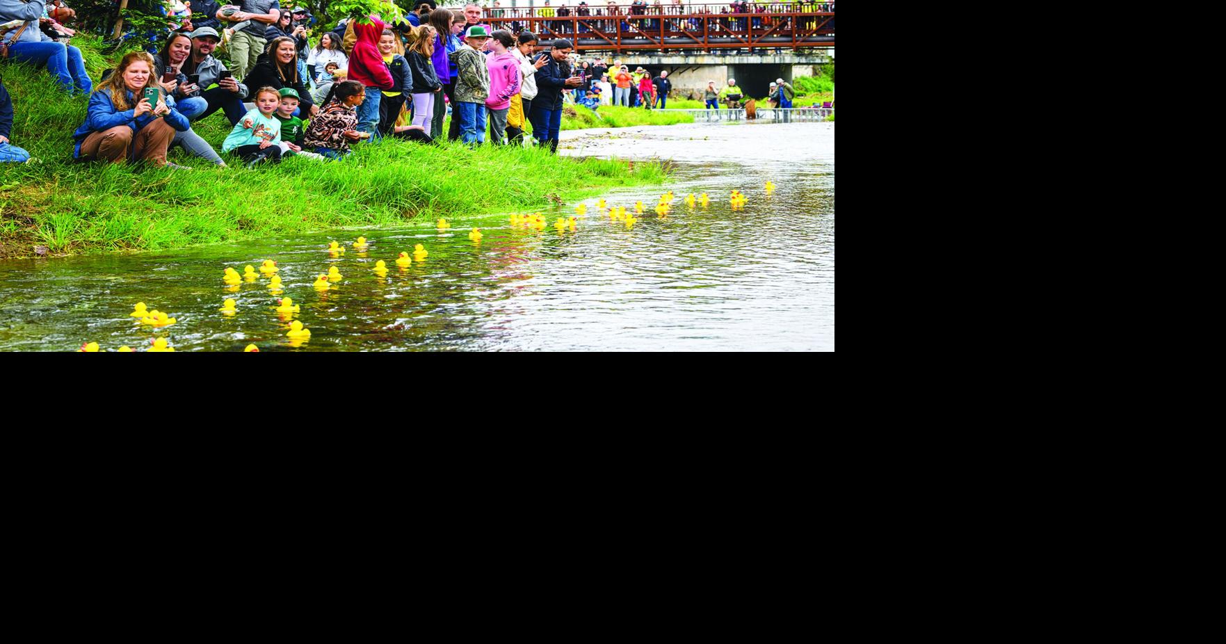 Long-awaited return of the Great Sutter Creek Duck Race is a big ...