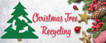 Tree Recycle