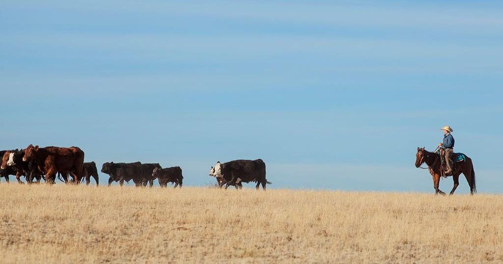 California farmers and ranchers honored for distinguished service ...