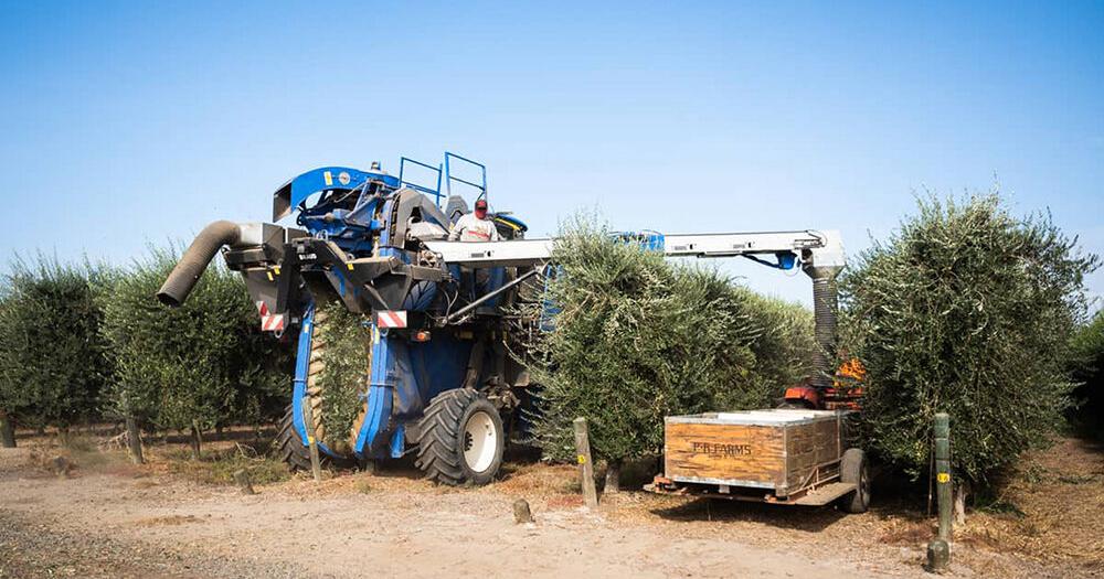 California Farm Bureau Food & Farm News — Wednesday, December 10, 2025