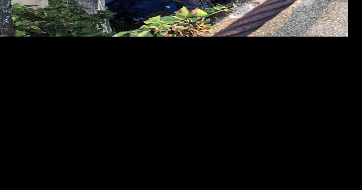 City of Ione says no to the idea of a designated safe space for