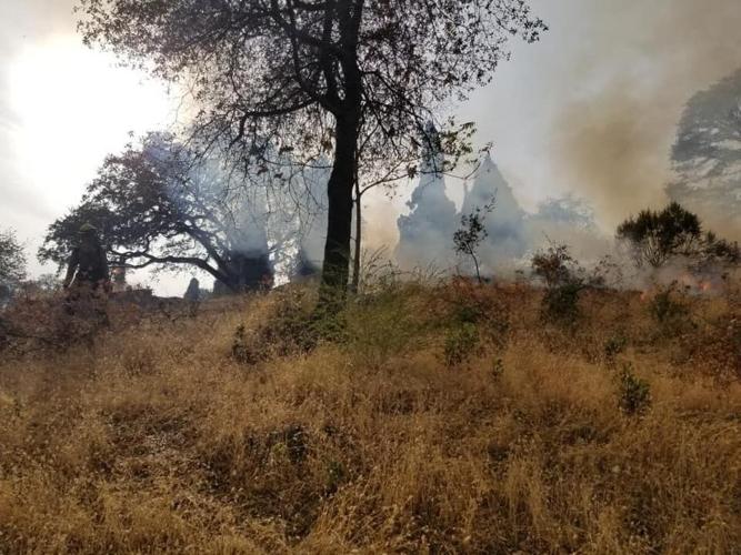 Mokelumne Hill Cemetery Burn — November 11, 2020 News ledger.news