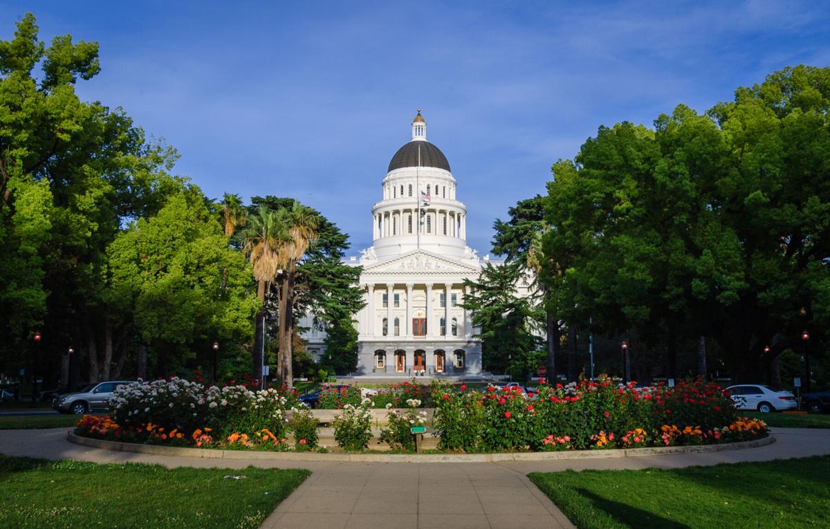 California Farm Bureau Food & Farm News — Wednesday, December 31 | Press  Releases | ledger.news