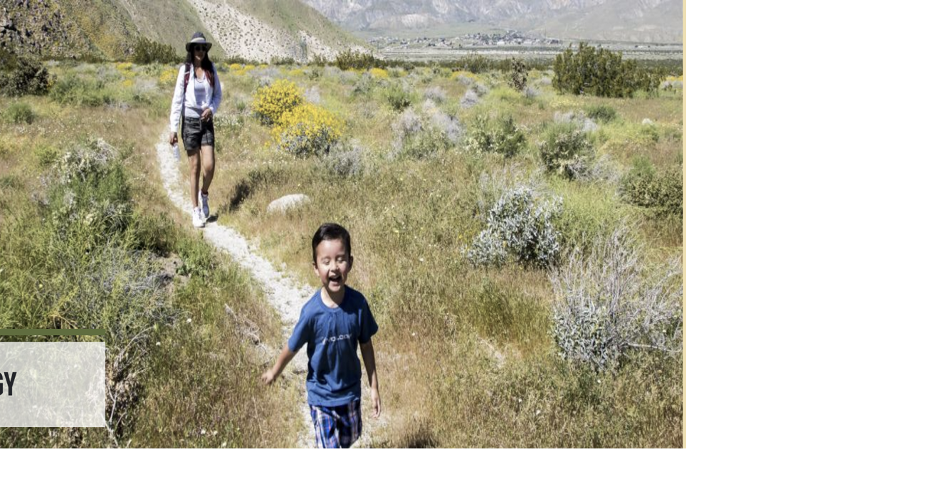 BLM seeks public input on new plan for recreation management | Press ...