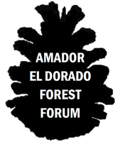 New Forest Management Handbook for Small-Parcel Landowners the Topic at the Amador-El Dorado Forest Forum