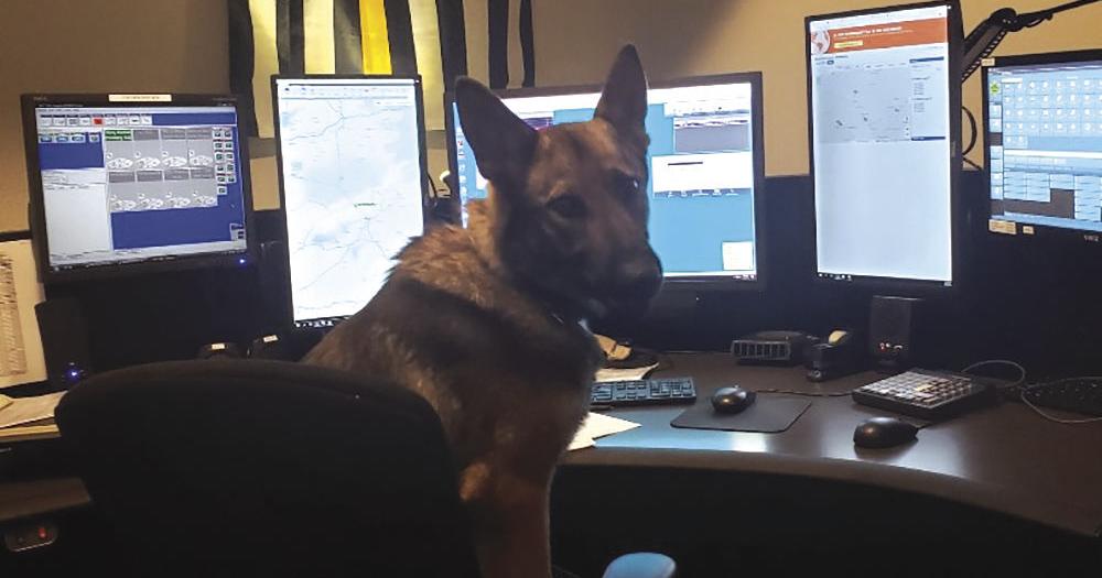 Amador Call Log June 18 Through June 23 News Ledger News