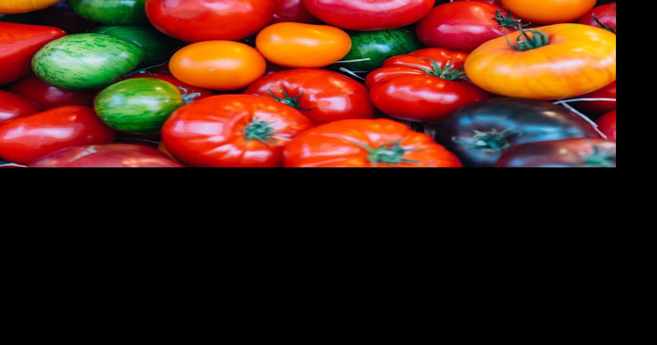 What to do with all those Tomatoes — July 20th | On the Vine | ledger.news