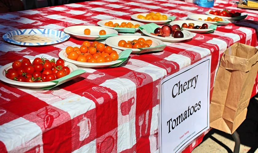 UCCE Master Gardeners of Amador County Tomato Tasting Results, Sutter
