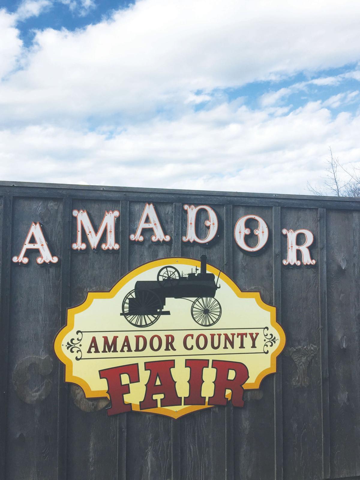 Behind the Scenes at the Amador County Fair On the Vine ledger.news