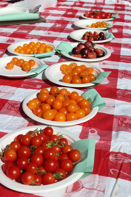 UCCE Master Gardeners of Amador County Tomato Tasting Results