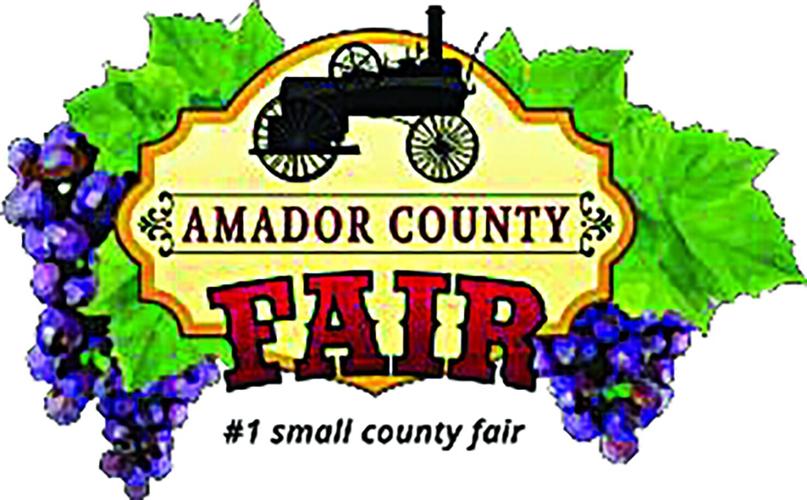 Amador County Fair Commercial Wine Competition | Roots | ledger.news