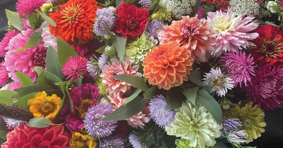 Rivers & Rhymes: The Gratitude for Amity Project | Roots | ledger.news