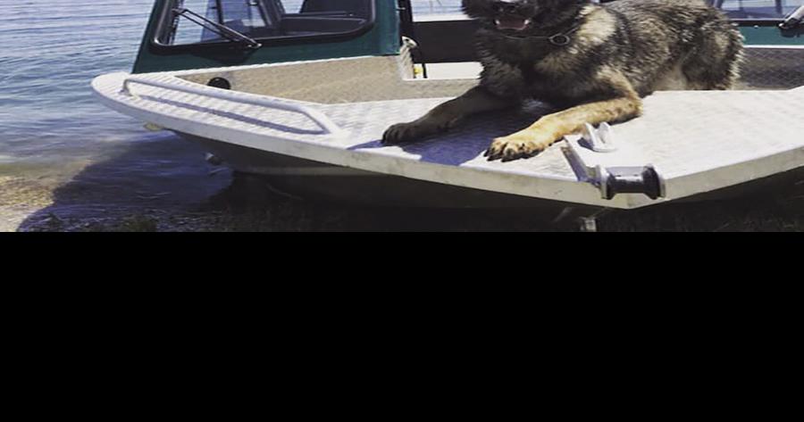 Amador Arrest Log June 3 Through June 11 News Ledger News