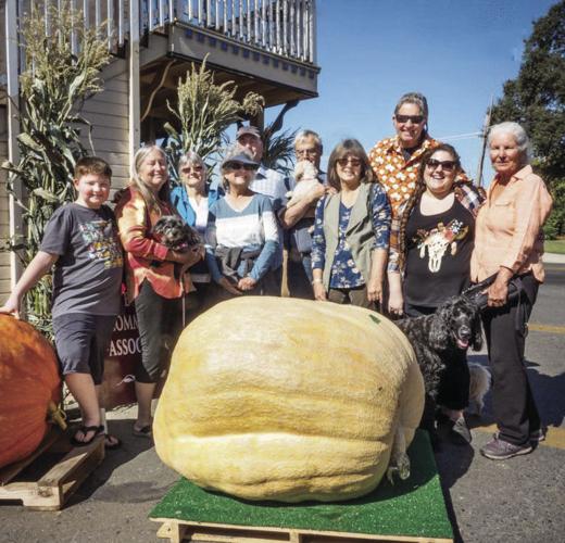 Great Pumpkins Make an Appearance in Ione News ledger.news