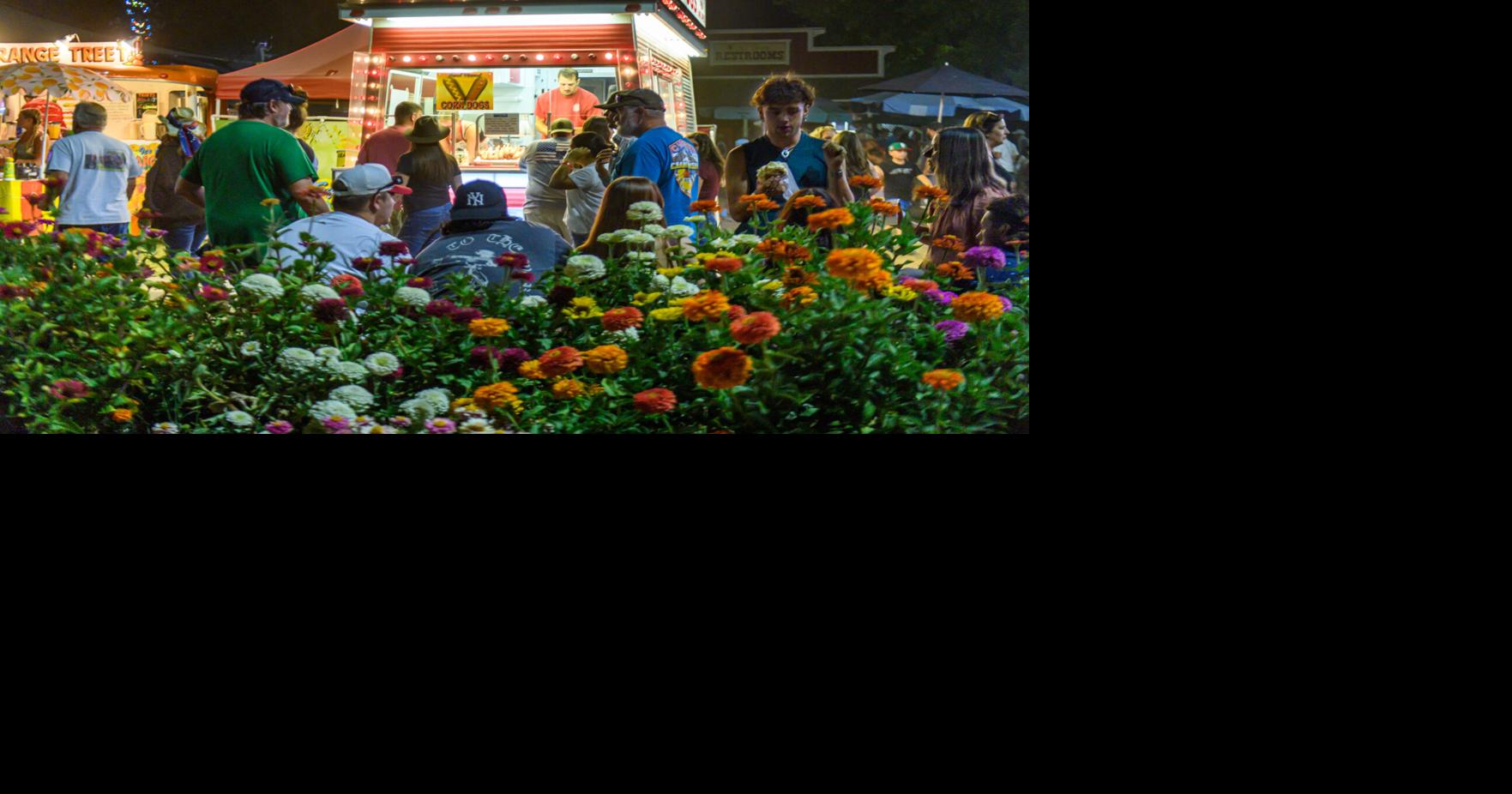 Vibe is up and so is attendance at 2025 county fair | Roots | ledger.news