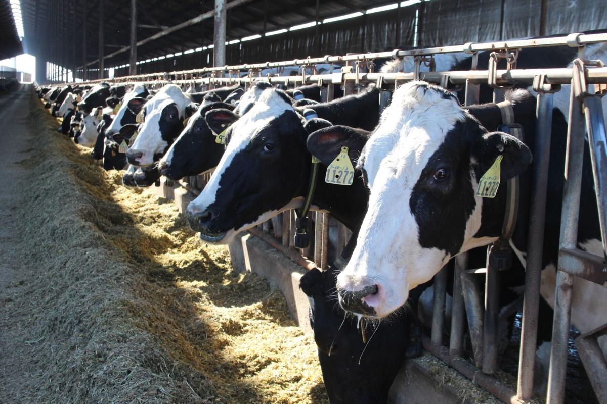 California Farm Bureau Food and Farm News — Wednesday, October 16, 2024 |  Press Releases | ledger.news