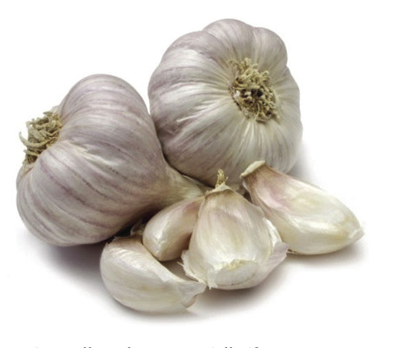 Ask a master gardener: It's time to plant garlic - Addison Independent