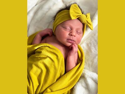 Juniper Dana Knoph