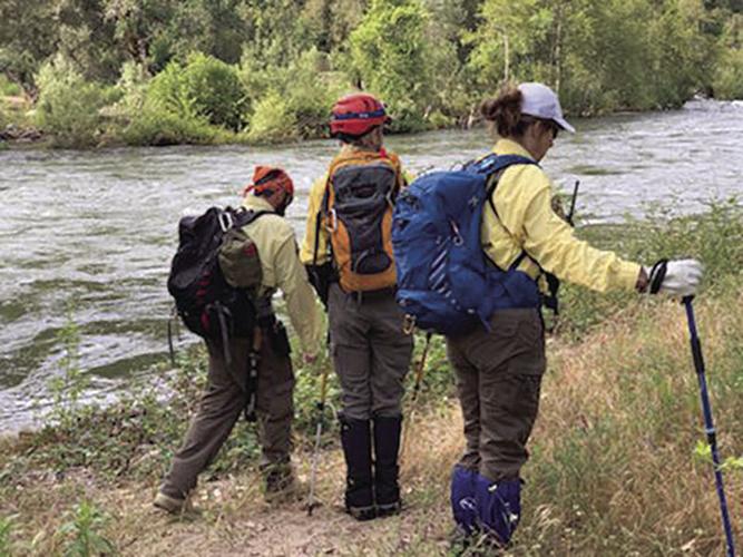 Multiple Agencies Searching for Missing Man Near Mokelumne Hill News