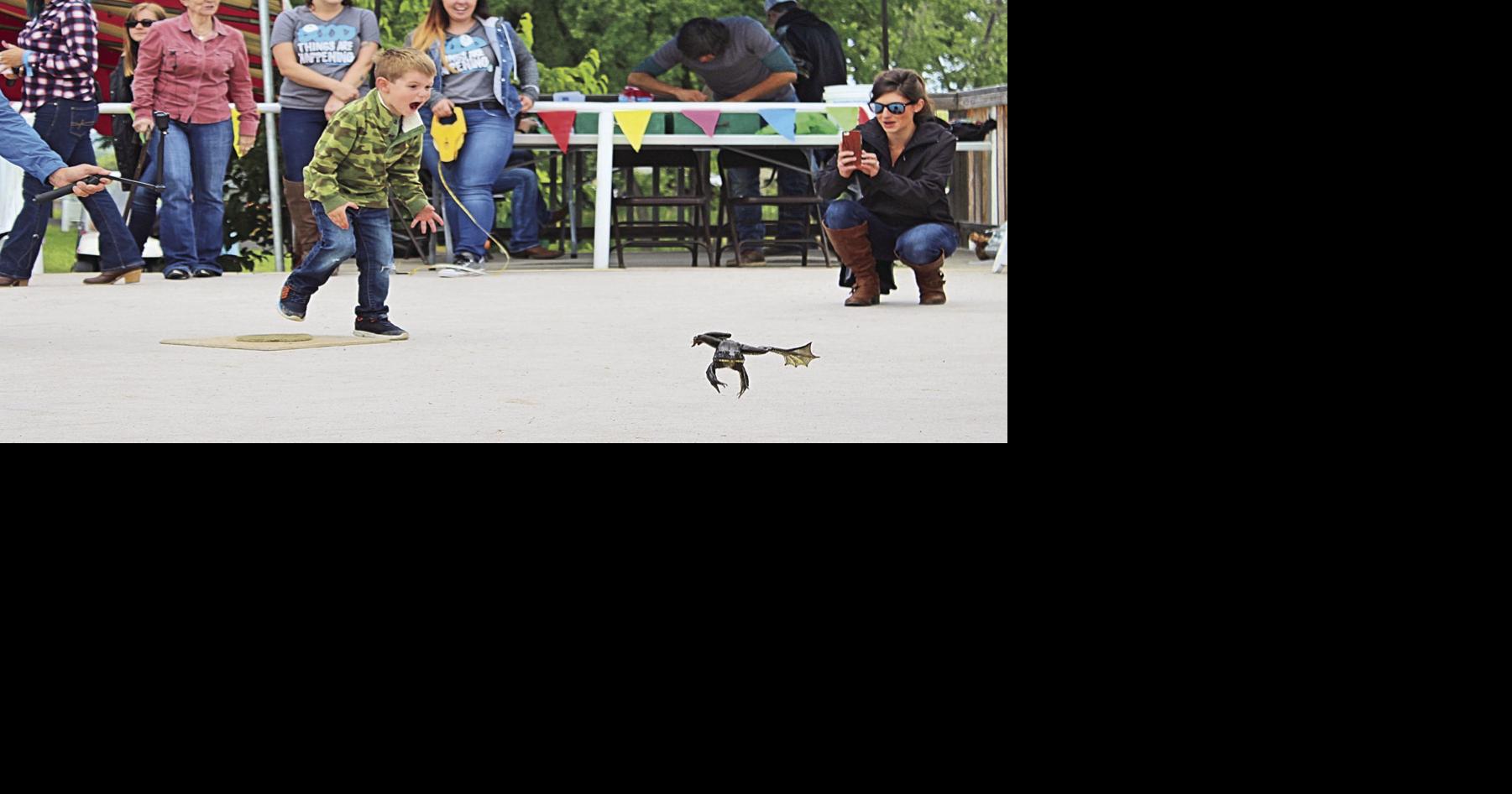 Flying Frogs | News | ledger.news