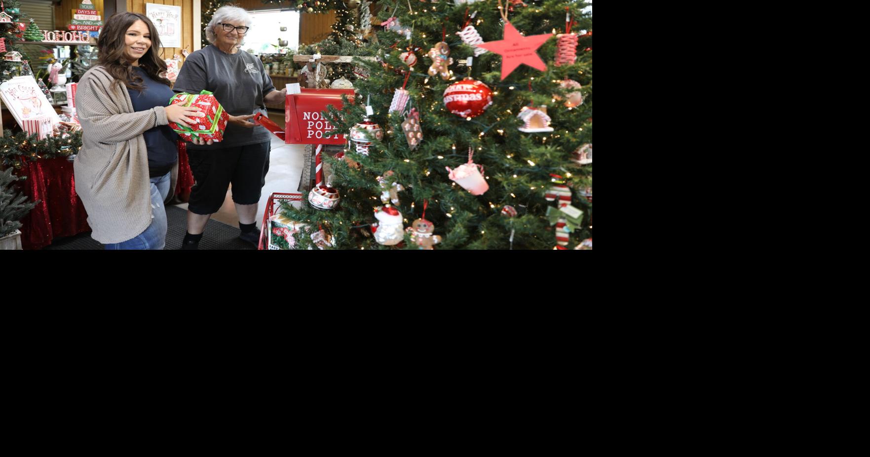 Get to know Amador County's Best Business of the Year Amador Flower