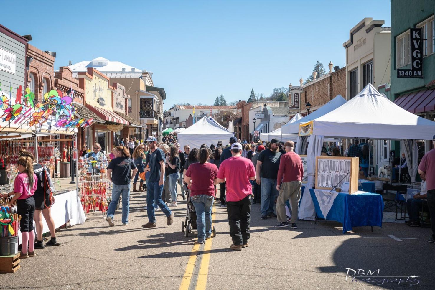 Dandelion Days to return to downtown Jackson this spring Roots