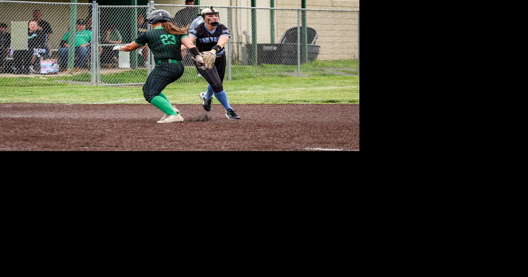 Prep softball: Lady Panthers get five on AAA All-State Team