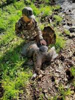 MDC reports spring turkey season ended with 36,251 birds harvested
