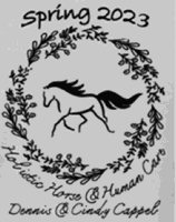 Lincoln/Pike WIA hosting “Holistic Horse & Human Care”