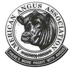 American Angus Association