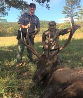 MDC reports five elk harvested during second season