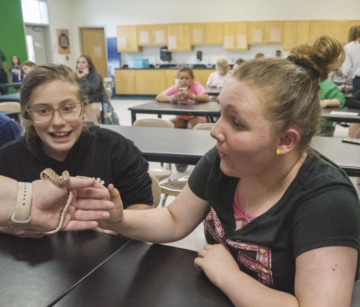 Introducing Girls To Stem Gems Club A Success At East Lincoln