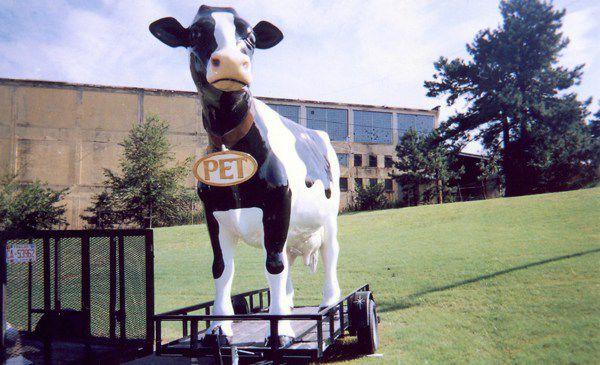 Haynes Dairy Nearing Century In Business Top Lincolntimesnews Com