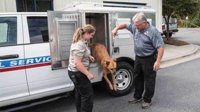 Lincoln County Animal Shelter