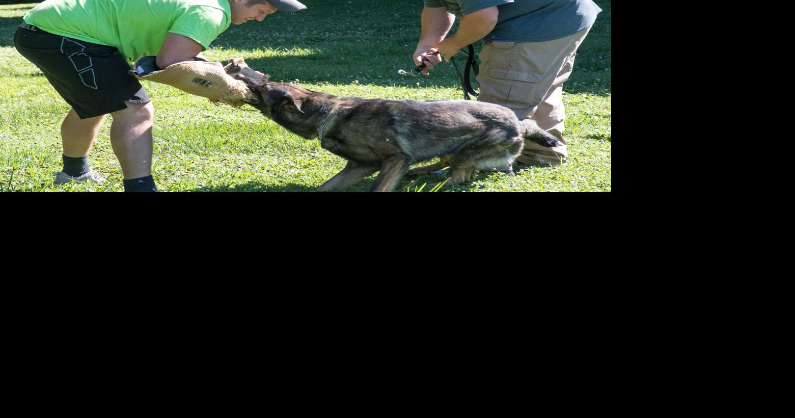 Lincolnton PD officers keep city, community safe News