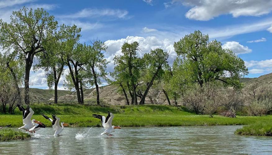 It's remote, but Marias River is a paddler's hidden gem, Environmental  news, Lewiston Tribune
