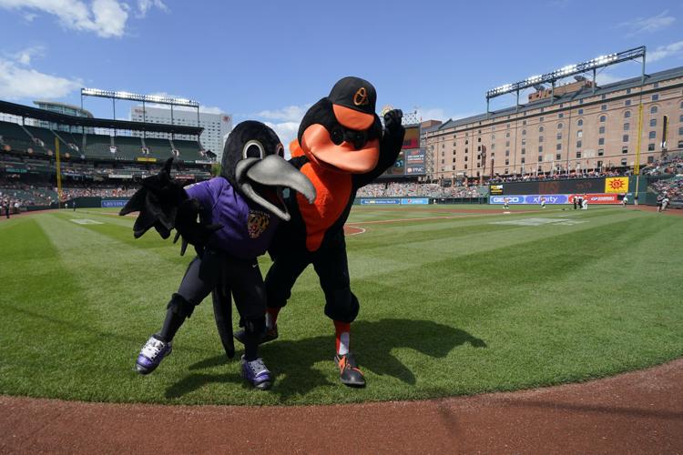 Press Release- Orioles Kick off Football Season with Ravens Rally at Oriole  Park on September 6