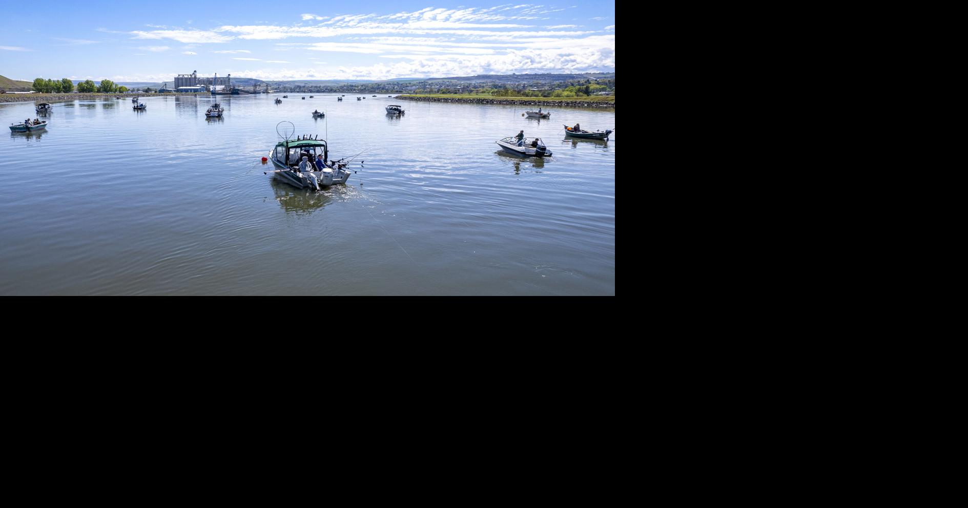 Snake River spring chinook season to close Local and regional news