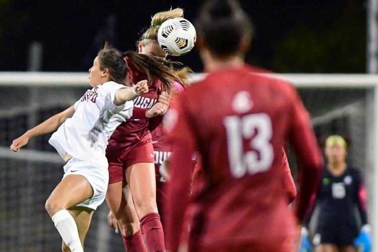 Washington's Winning Streak Halted by WSU, 2-1 - University of