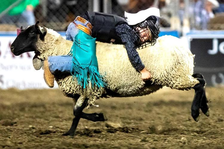 A weekend he'll never forget — 'Each ride is one you remember — it is bull  riding,' says Browning cowboy