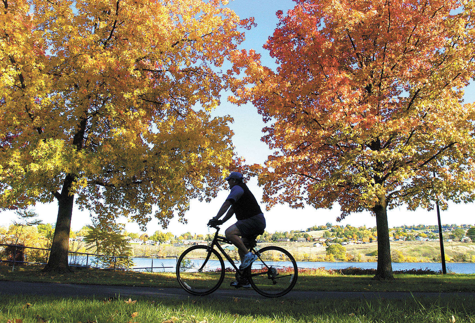 let's go ride a bike